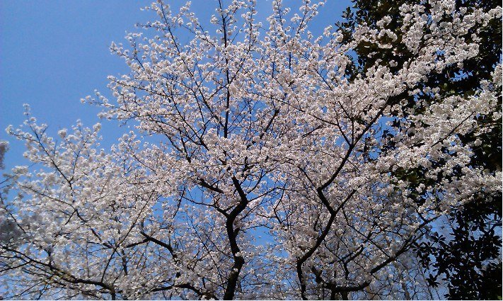 QQ��ͼ20130326183350.jpg