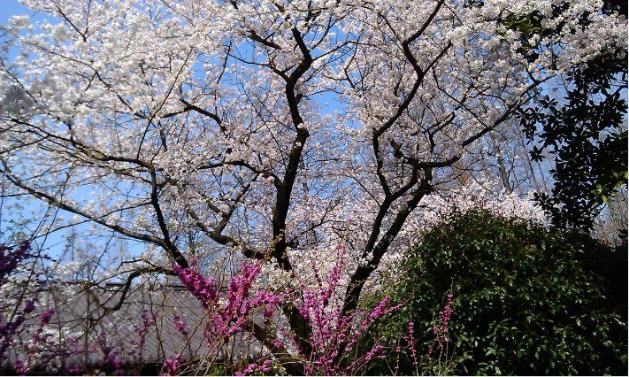 QQ��ͼ20130326183359.jpg