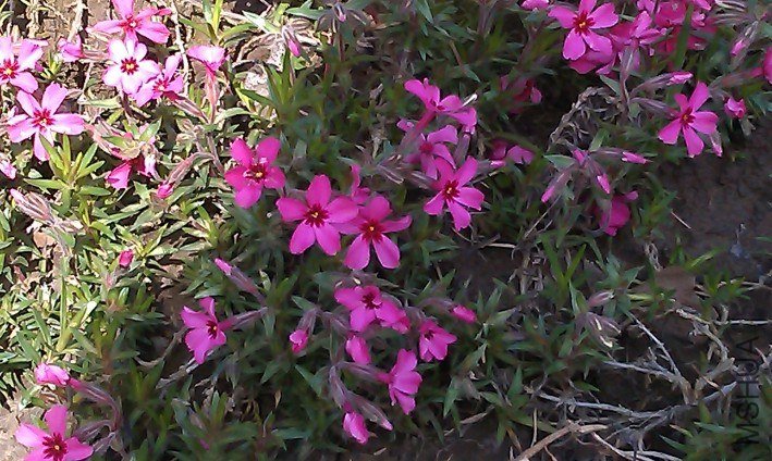 QQ��ͼ20130326183933.jpg