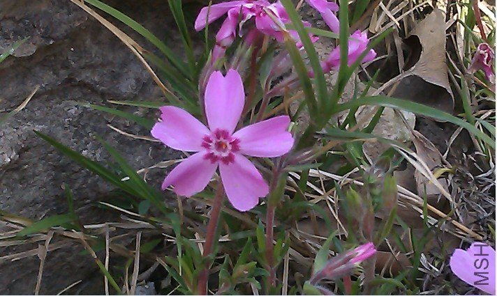 QQ��ͼ20130326183953.jpg
