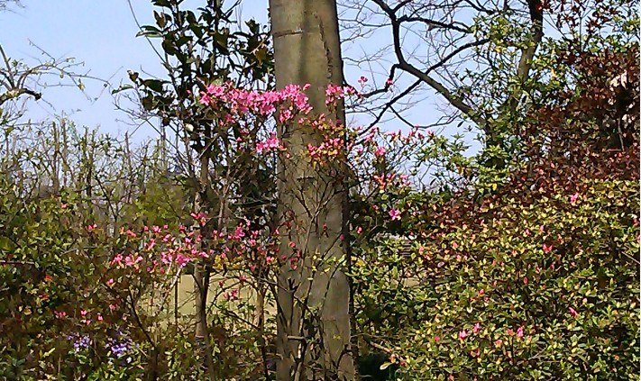 QQ��ͼ20130326184011.jpg