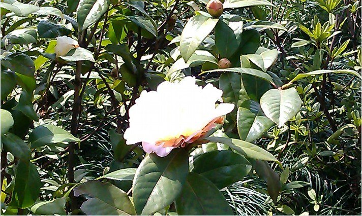 QQ��ͼ20130326184020.jpg