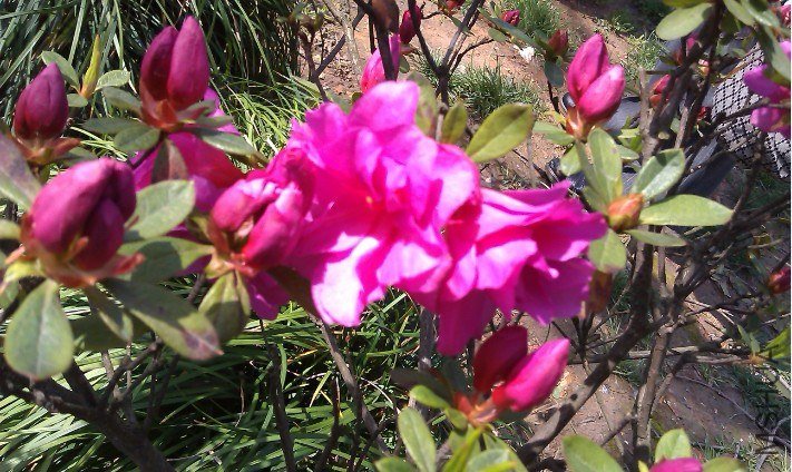 QQ��ͼ20130326184028.jpg