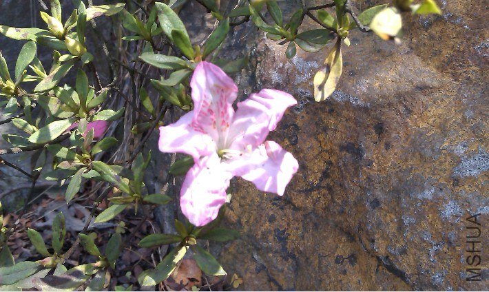 QQ��ͼ20130326184047.jpg