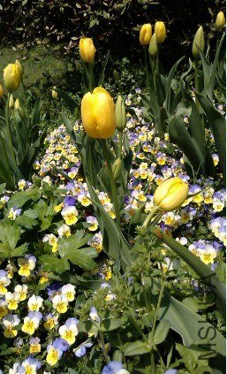 QQ��ͼ20130326184635.jpg