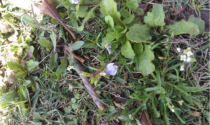 QQ��ͼ20130326184415.jpg