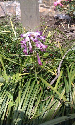 QQ��ͼ20130326184424.jpg