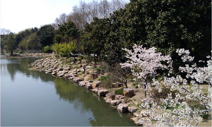 QQ��ͼ20130326184451.jpg