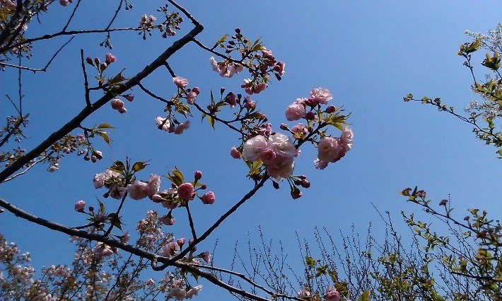 QQ��ͼ20130326184535.jpg