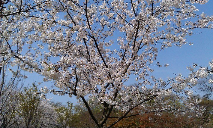 QQ��ͼ20130326184606.jpg