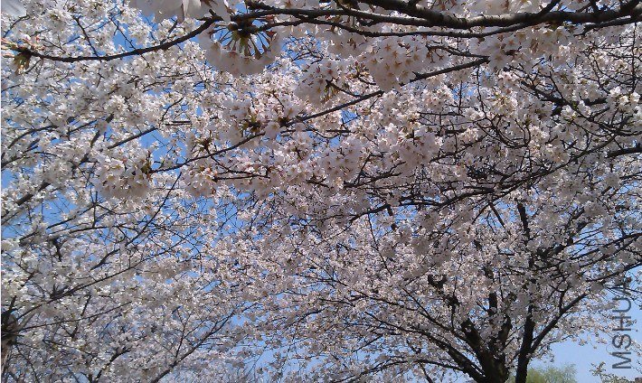 QQ��ͼ20130326184617.jpg