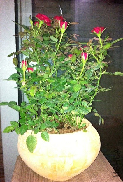 ȥ������ӡ�������ȥ����סԺ��û��ô�����أ��Ϲ����ϵġ�