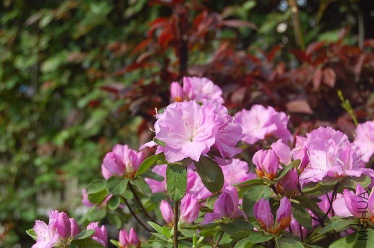 DSC_02140214.JPG