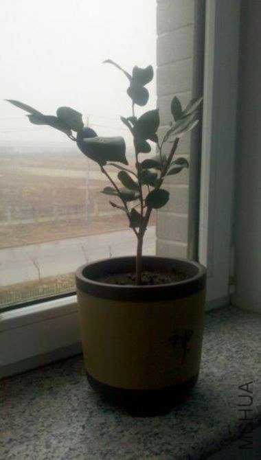 2013-03-27_11-42-52_734.jpg