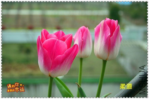 ��Ƭ 002_����.jpg