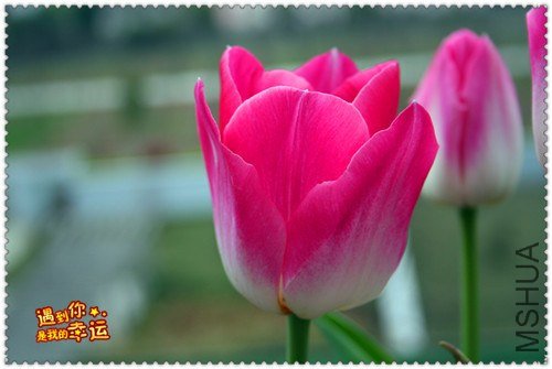 ��Ƭ 003_����.jpg