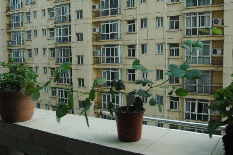 DSC_0107.JPG