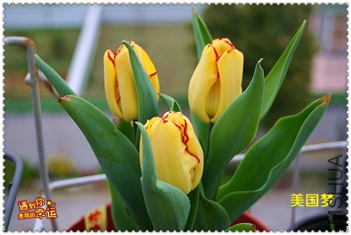 ��Ƭ 030_����.jpg