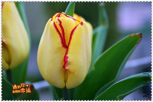 ��Ƭ 033_����.jpg