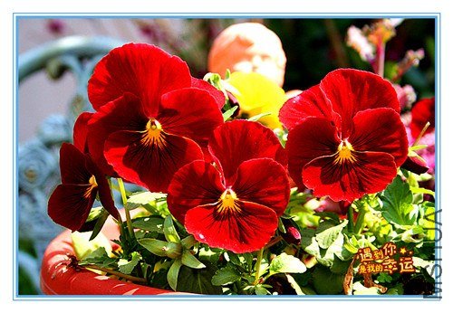 ��Ƭ 025_����.jpg