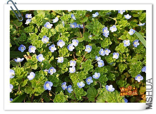 ��Ƭ 205_����.jpg