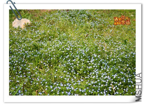 ��Ƭ 202_����.jpg