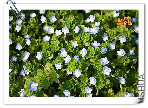 ��Ƭ 204_����.jpg