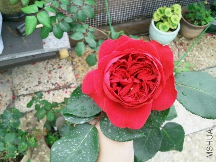 2013-03-25 12.20.52.jpg