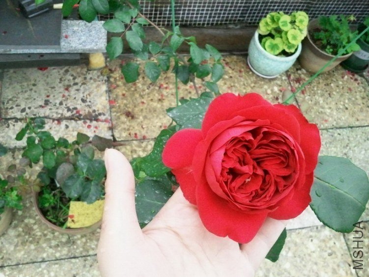 2013-03-25 12.21.36.jpg