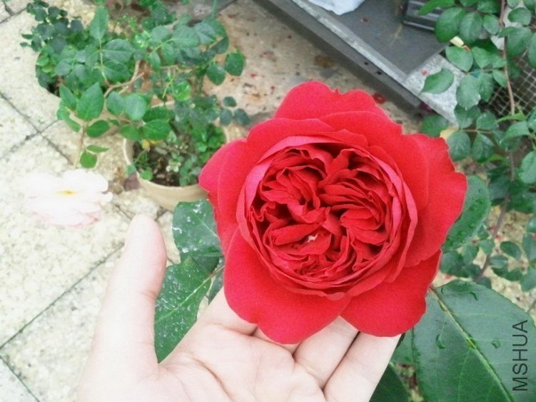 2013-03-25 12.22.22.jpg