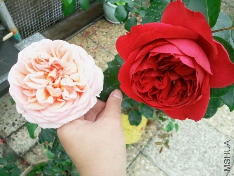 2013-03-25 12.23.30.jpg