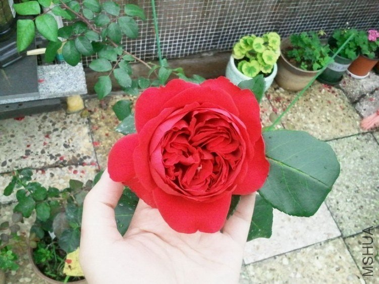 2013-03-25 12.24.22.jpg