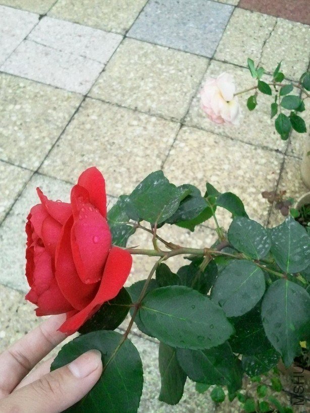 2013-03-25 12.26.42.jpg
