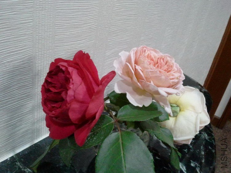 2013-03-27 19.06.55.jpg