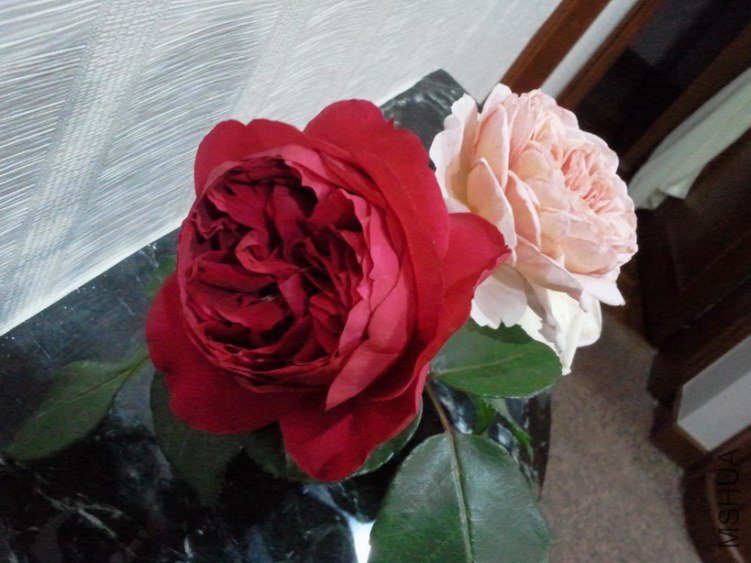 2013-03-27 19.07.41.jpg