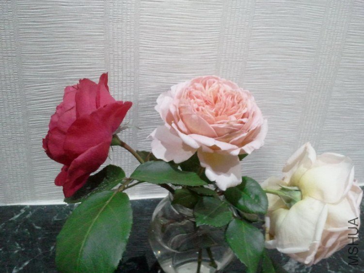 2013-03-27 19.08.57.jpg