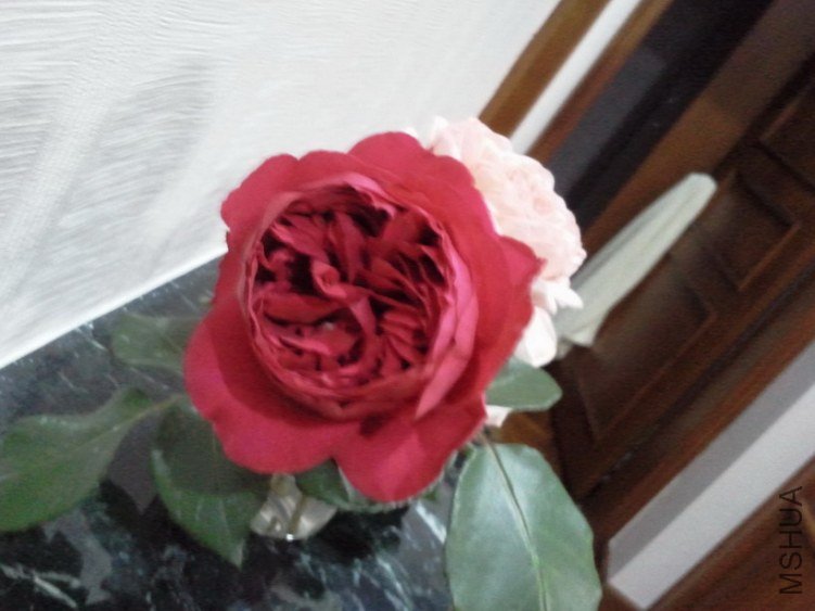 2013-03-27 19.09.34.jpg