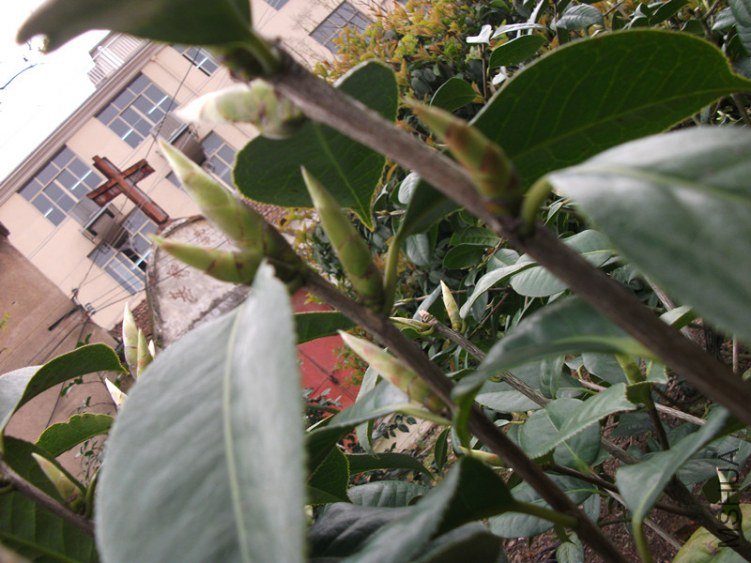 DSCF6176_����.jpg