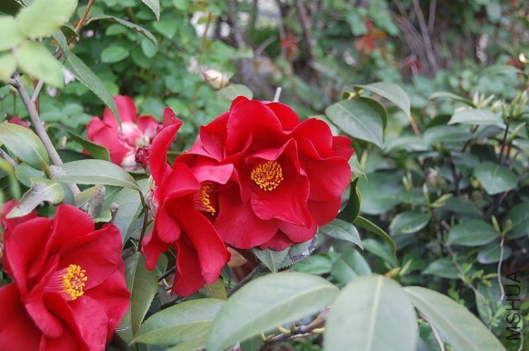 DSC_00210021.JPG