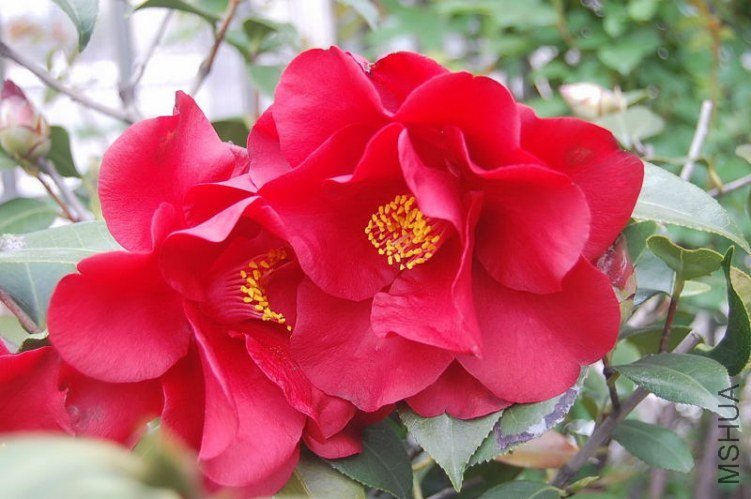 DSC_00160016.JPG