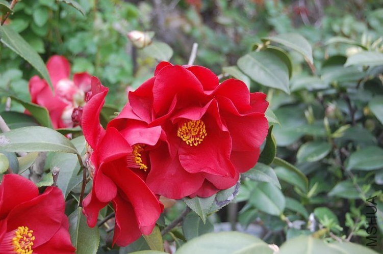 DSC_00190019.JPG