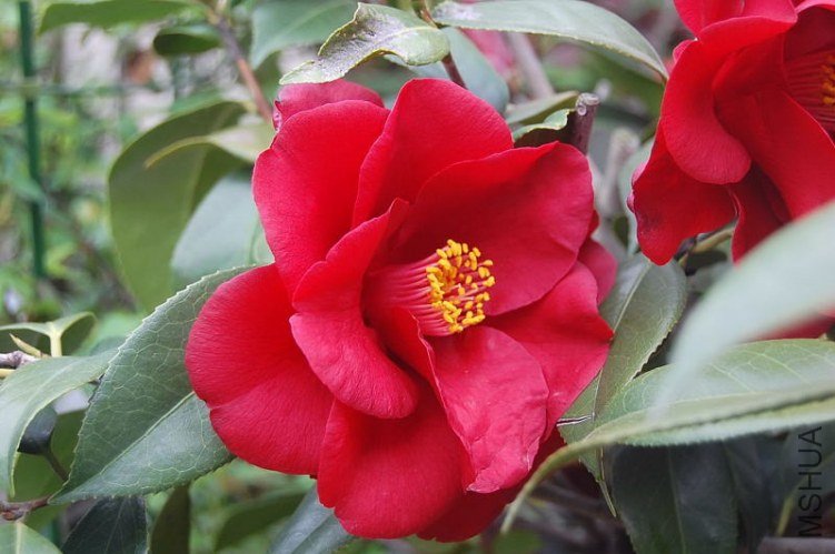DSC_00330033.JPG