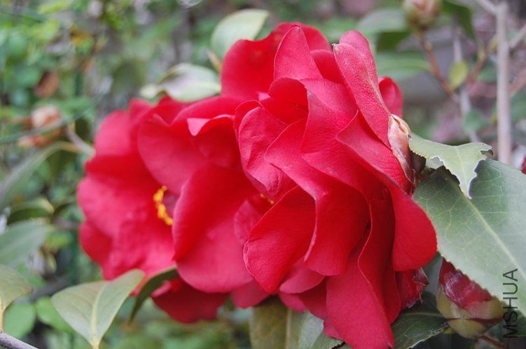 DSC_00240024.JPG