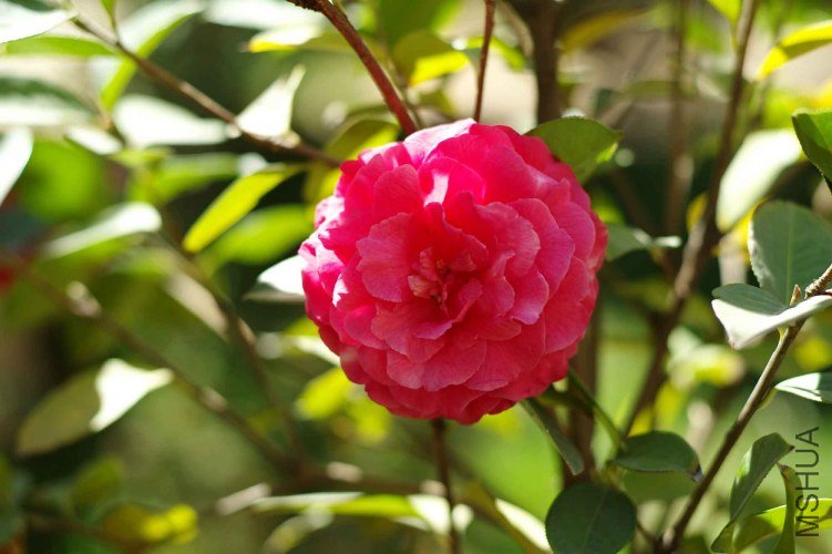 L9991713.JPG