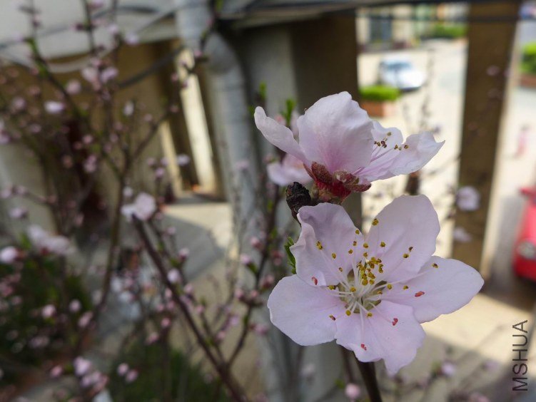 ������С P1040576.JPG