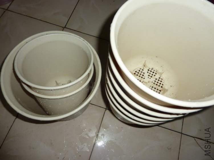 P1180008_800x600.JPG