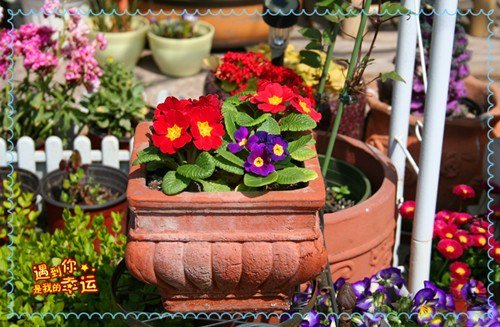 ��Ƭ 020_����.jpg