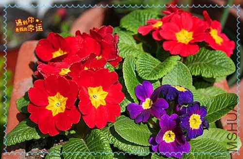 ��Ƭ 022_����.jpg