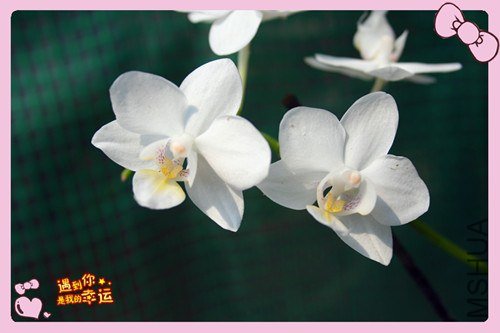 ��Ƭ 164_����.jpg