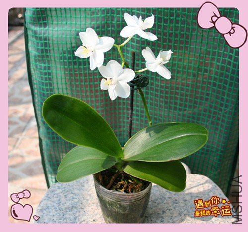 ��Ƭ 160_����.jpg